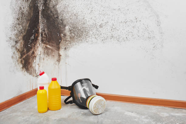 Best Water Damage Restoration  in Konawa, OK