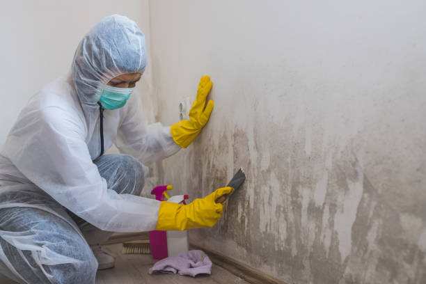 Crawl Space Mold Removal in Konawa, OK