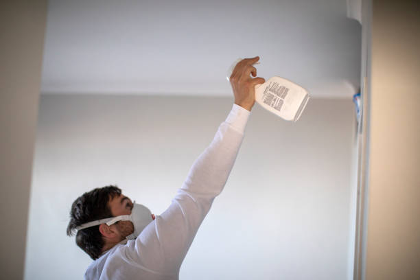 Best Certified Mold Removal  in Konawa, OK