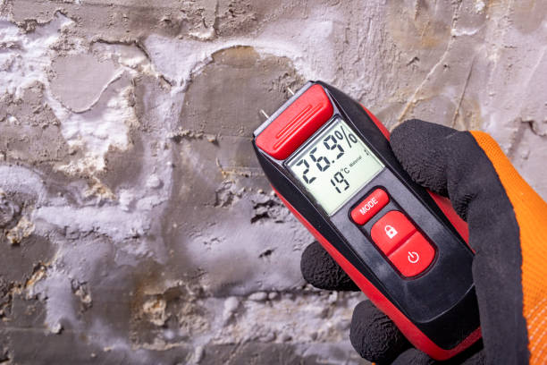 Best Fast Mold Removal  in Konawa, OK