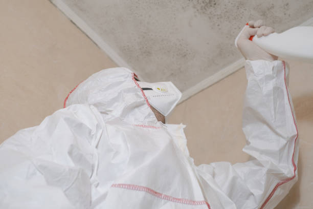 Best Fast Mold Removal  in Konawa, OK