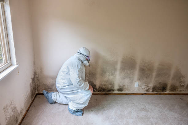 Best Mold Remediation  in Konawa, OK