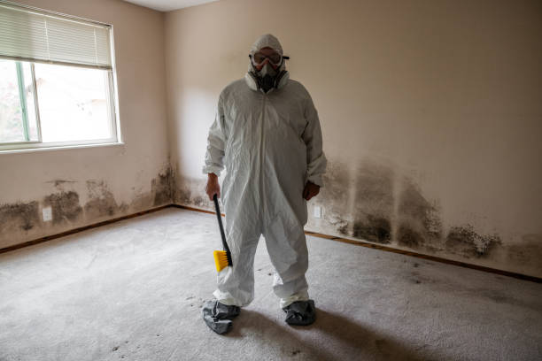 Best Mold Testing  in Konawa, OK